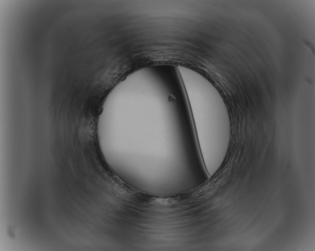 X0000091950277200709061046