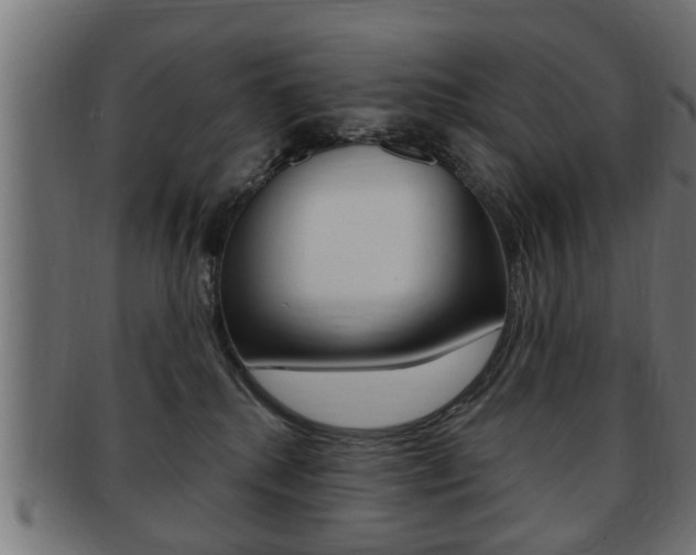 X0000091950280200709061046
