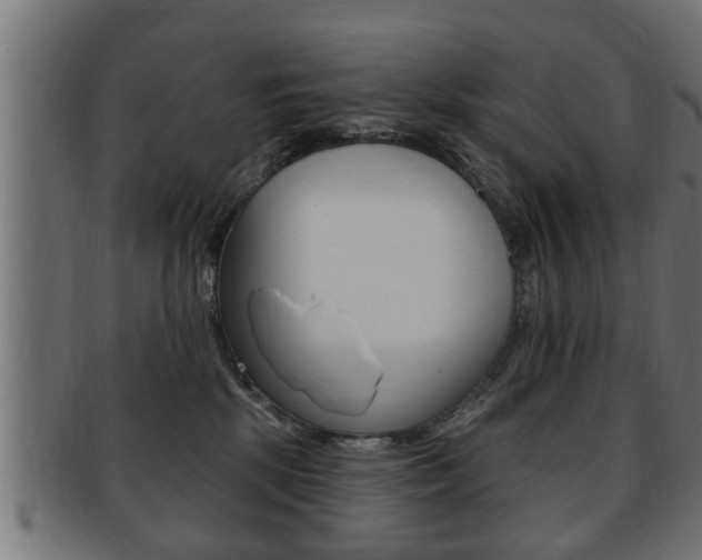 X0000091950281200709061046