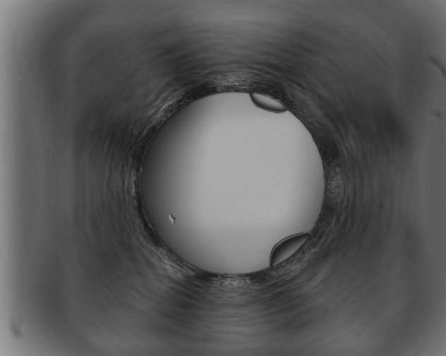 X0000091950282200709061046