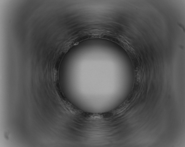 X0000091950283200709061046