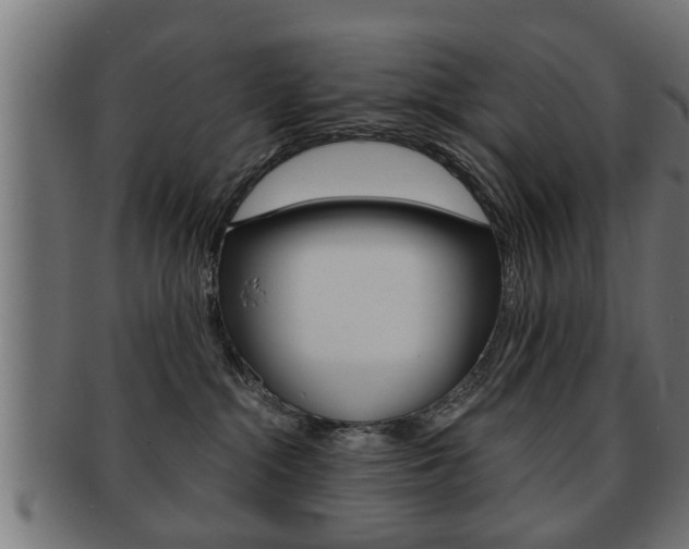 X0000091950284200709061046