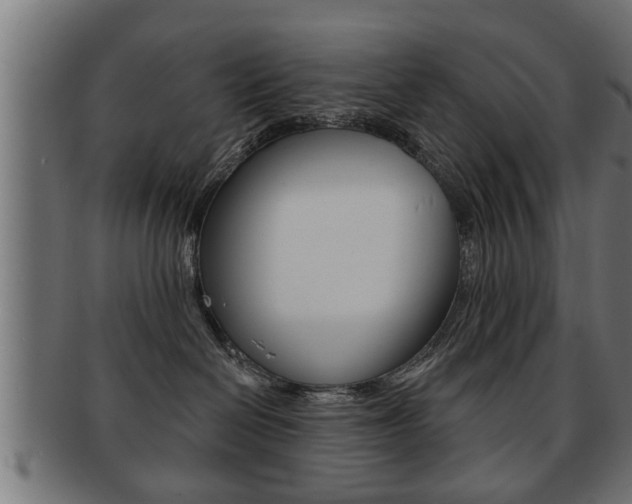 X0000091950286200709061046
