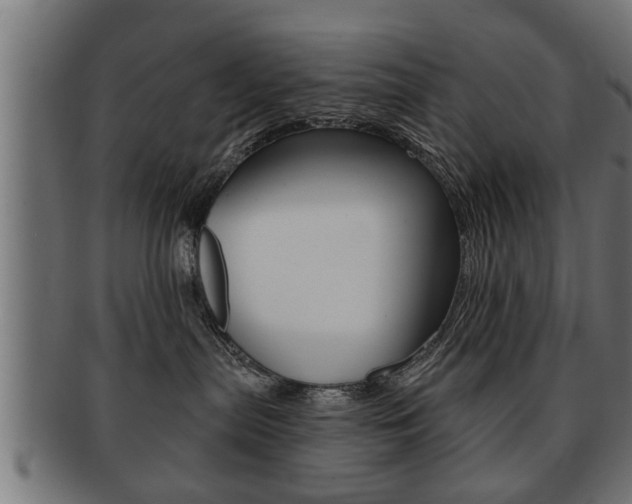 X0000091950287200709061046