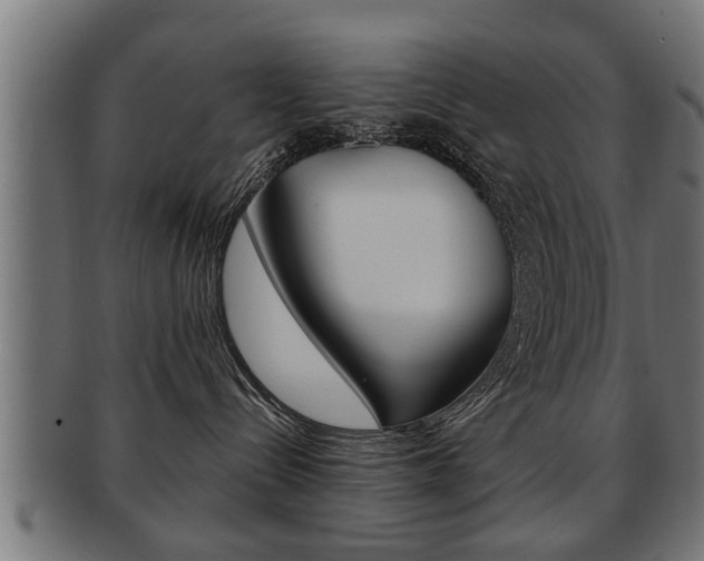 X0000091950288200709061046