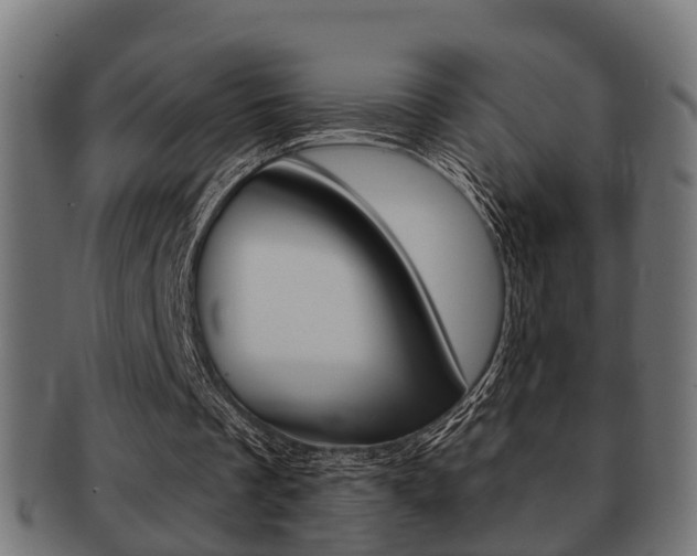 X0000091950289200709061045