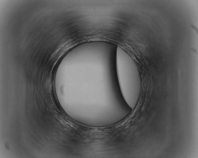 X0000091950290200709061045