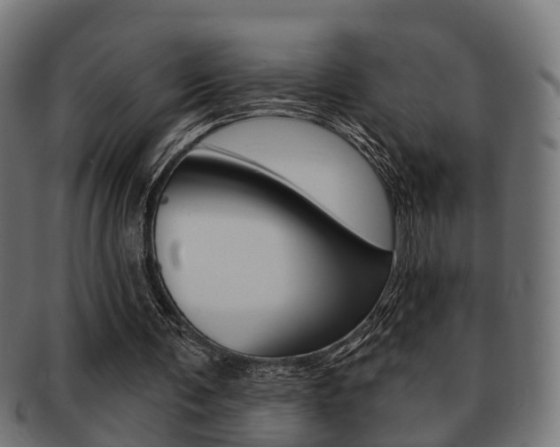 X0000091950291200709061045