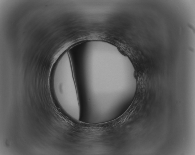X0000091950292200709061045