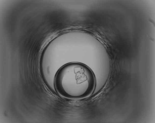 X0000091950293200709061045