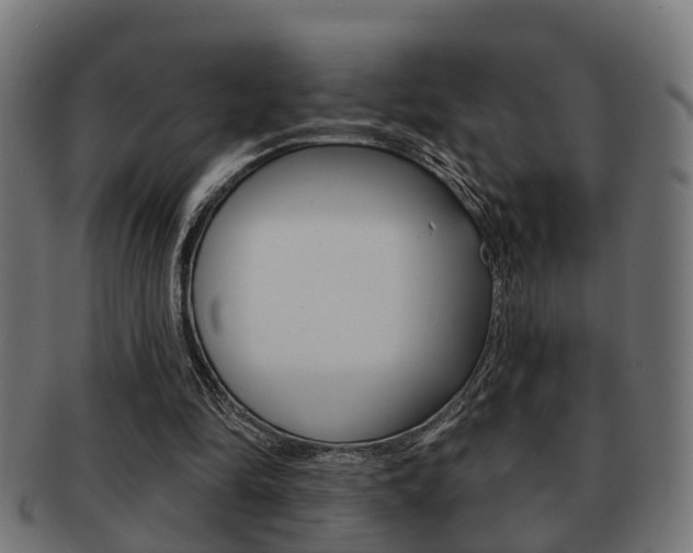 X0000091950294200709061045
