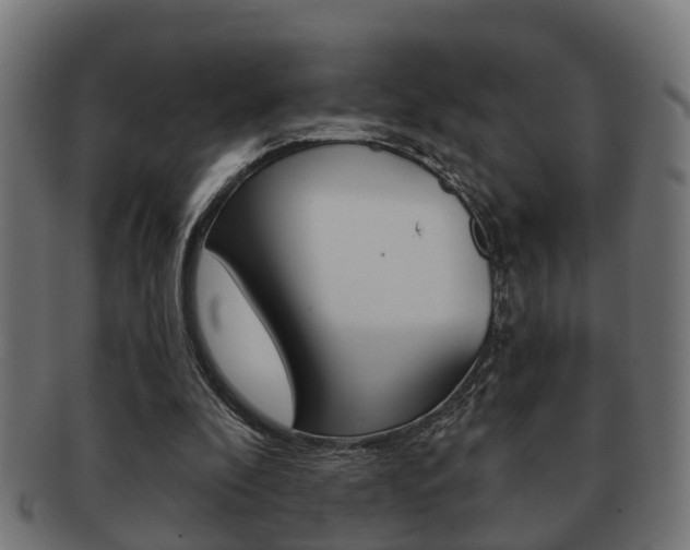 X0000091950296200709061045