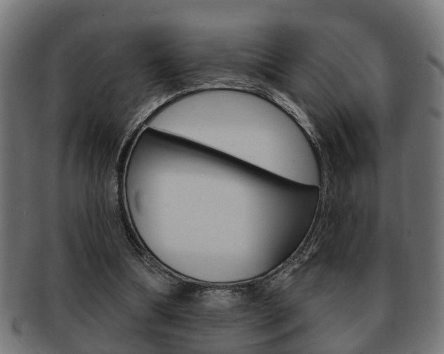 X0000091950298200709061045