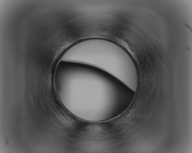 X0000091950299200709061045