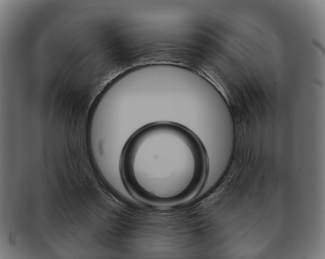 X0000091950301200709061045