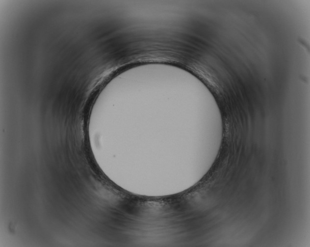 X0000091950302200709061045