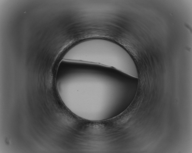 X0000091950304200709061045