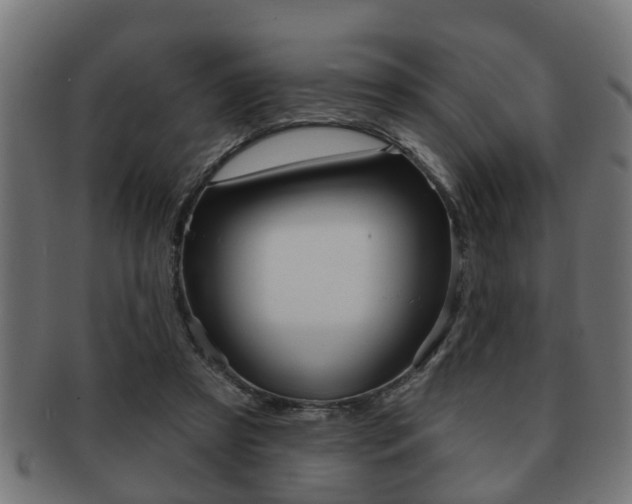 X0000091950305200709061045