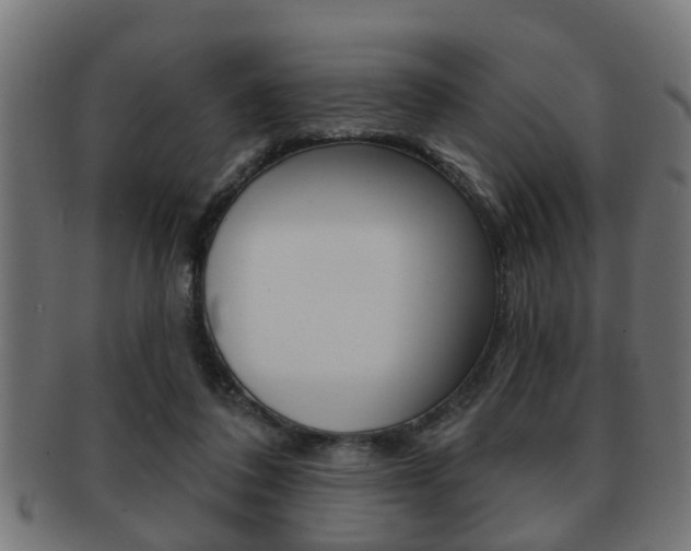 X0000091950308200709061045
