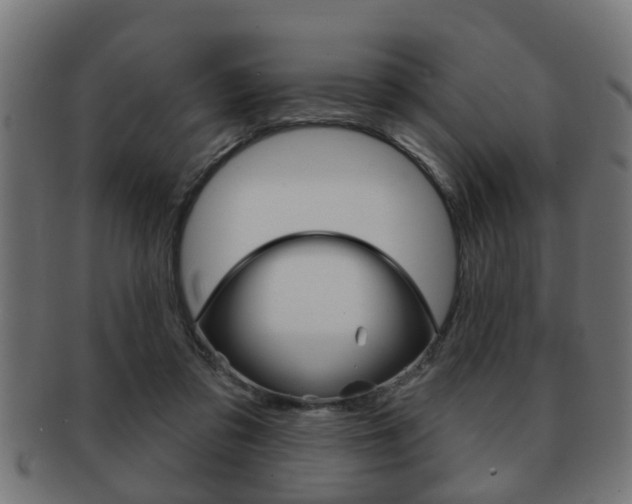 X0000091950309200709061045