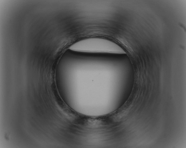 X0000091950311200709061045