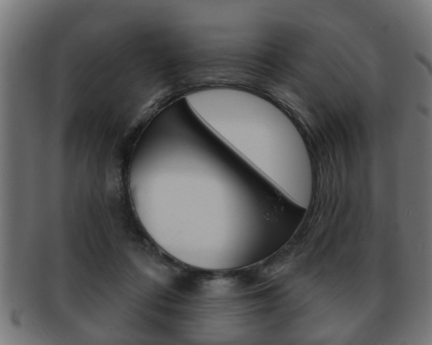X0000091950312200709061045