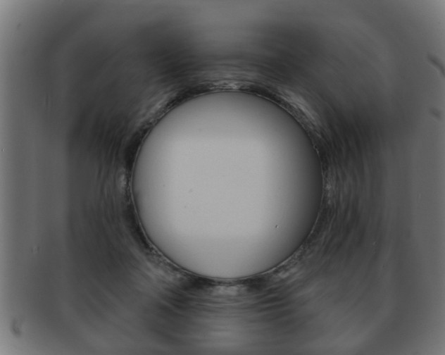 X0000091950314200709061045