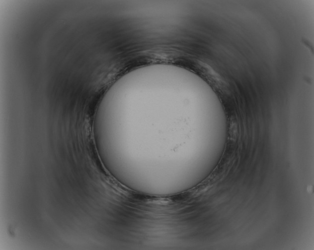 X0000091950318200709061045