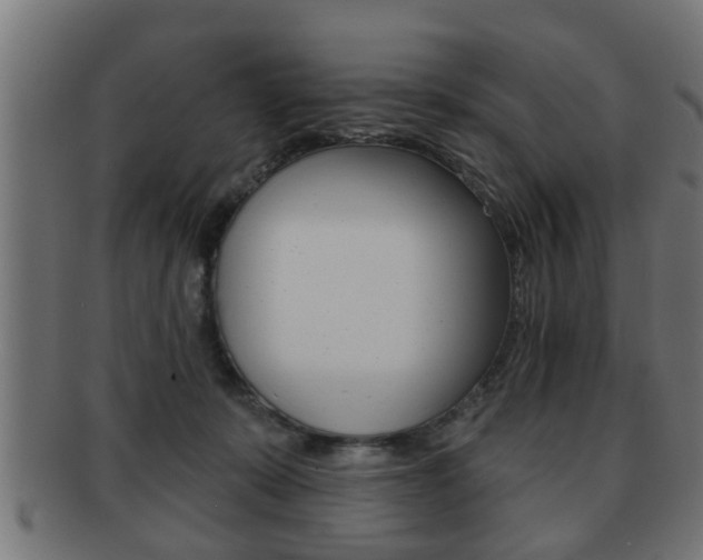 X0000091950319200709061045