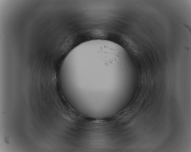 X0000091950320200709061045