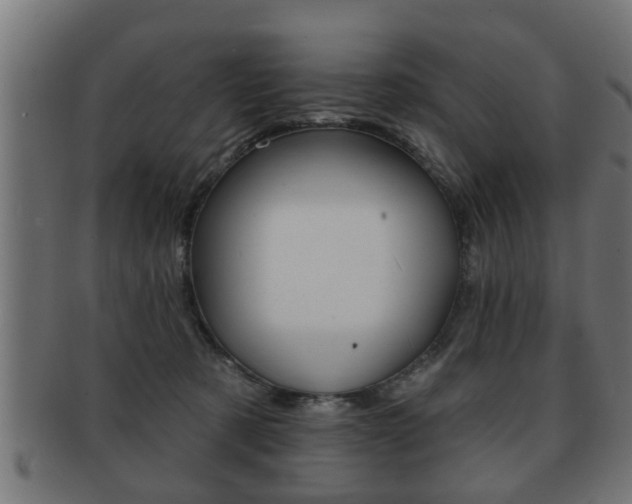 X0000091950321200709061045