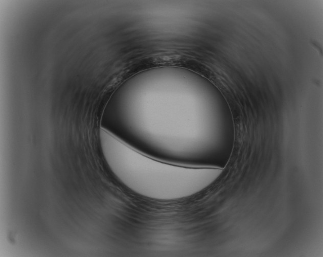 X0000091950324200709061045