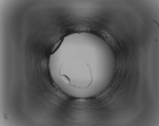 X0000091950326200709061045