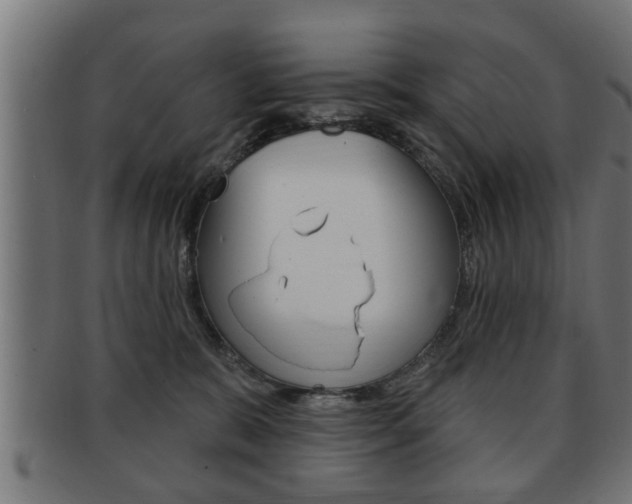 X0000091950327200709061045
