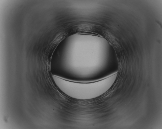 X0000091950333200709061045