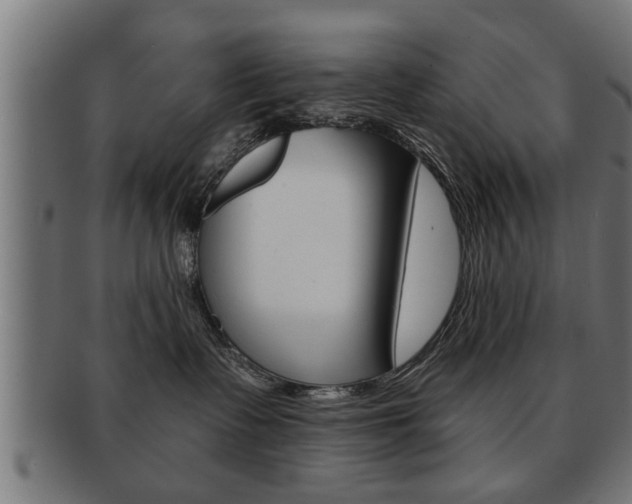 X0000091950335200709061045