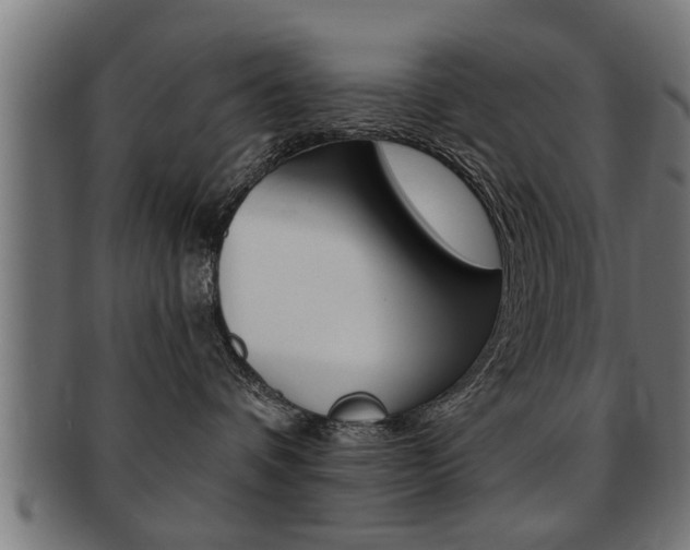 X0000091950336200709061045