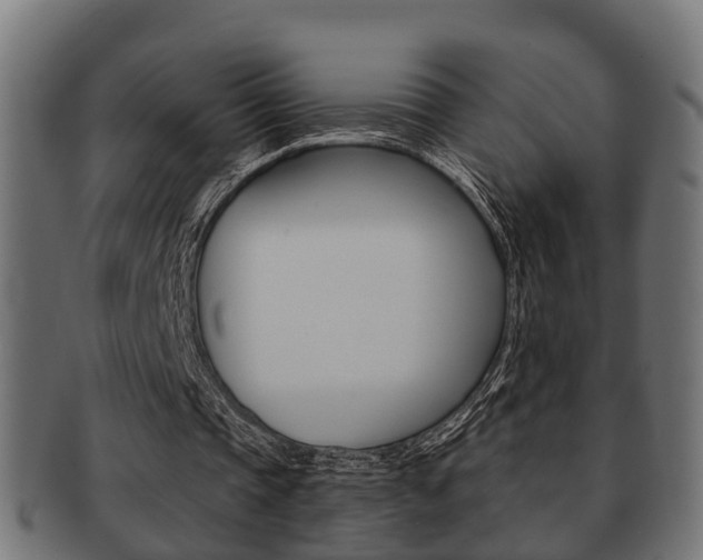 X0000091950337200709061044
