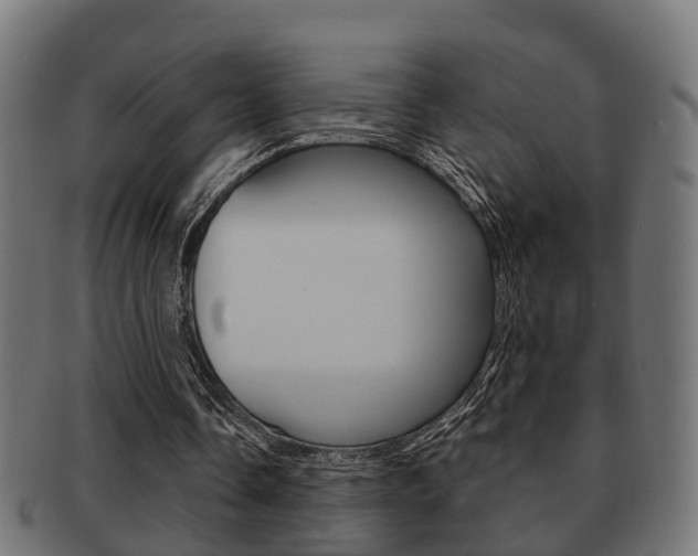 X0000091950338200709061044