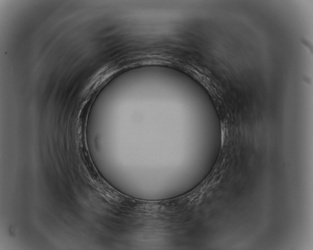 X0000091950339200709061044