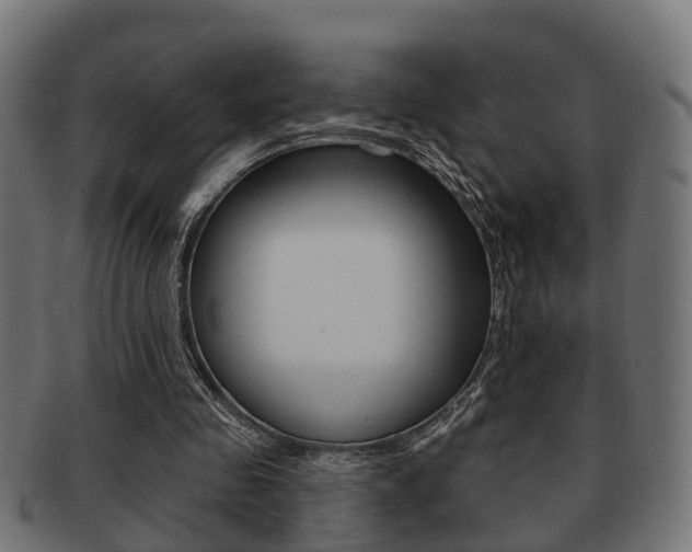 X0000091950341200709061044