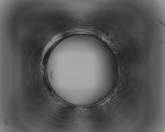X0000091950343200709061044