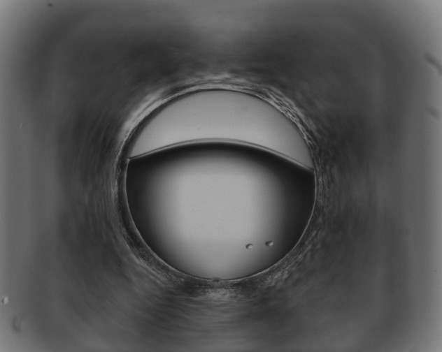 X0000091950344200709061044