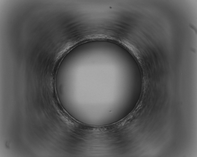 X0000091950345200709061044
