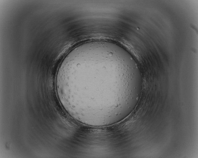 X0000091950347200709061044