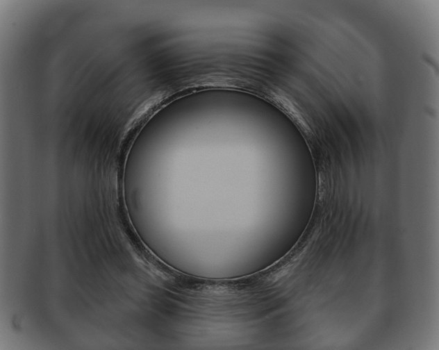 X0000091950349200709061044