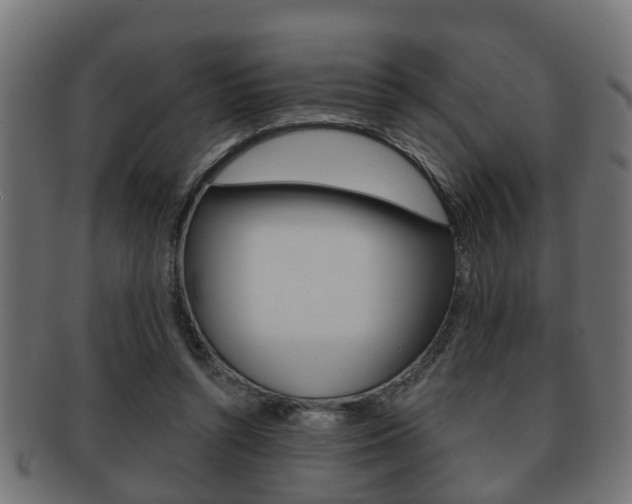 X0000091950352200709061044