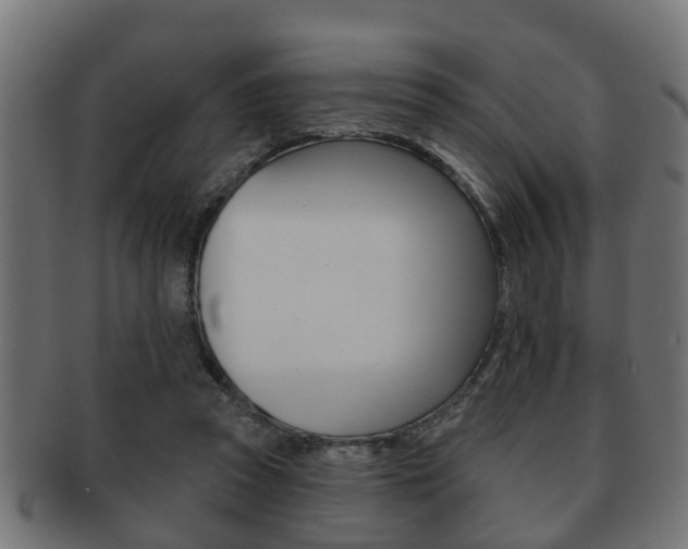 X0000091950353200709061044
