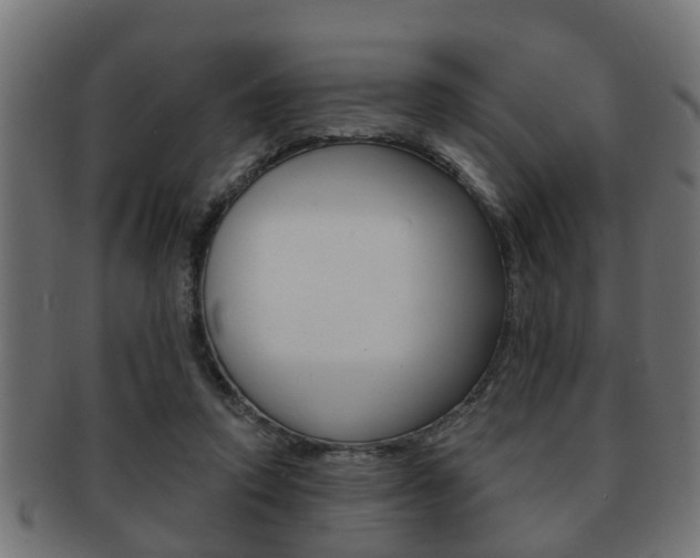 X0000091950354200709061044