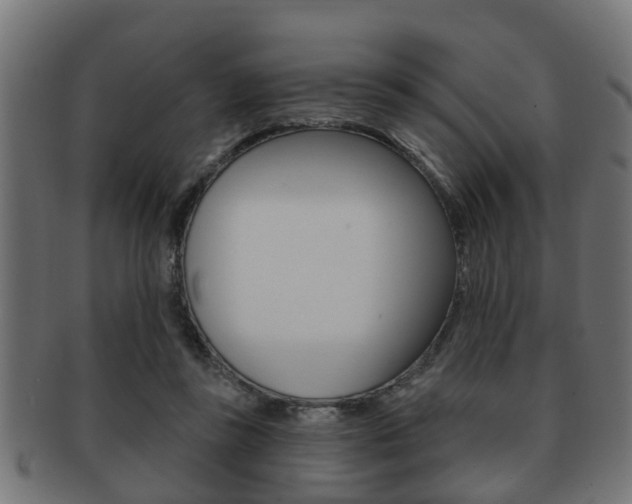 X0000091950355200709061044